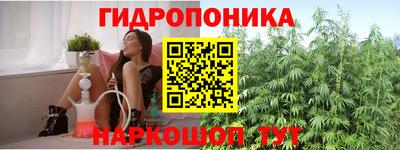 стаф Заволжье